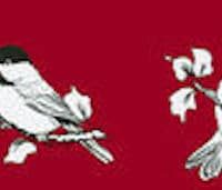 Chickadees decals