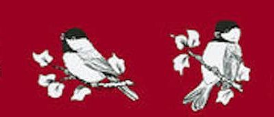 Chickadees decals