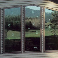 Whispering Windows Chickadee Decals