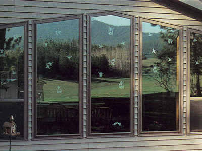 Whispering Windows Chickadee Decals