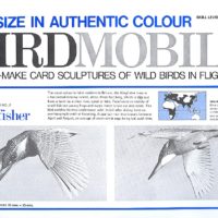 birdmobile kingfisher