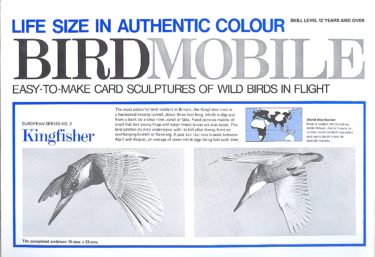 birdmobile kingfisher