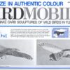 birdmobile little owl