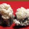 popcorn rock