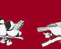More Chickadees Decals