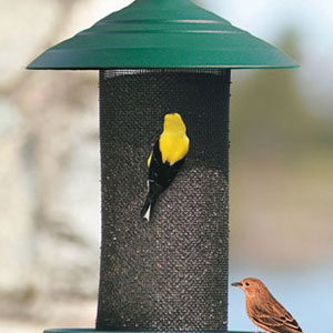 WoodLink Steel Magnum Thistle Feeder STMAG4GRT