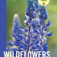 Wildflowers of the Pacific Northwest by Mark Turner and Phyllis Gustafson