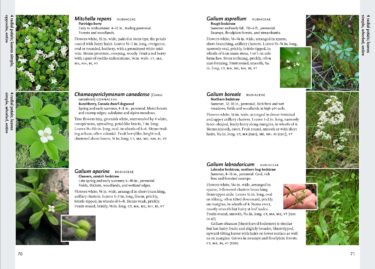Wildflowers of the Pacific Northwest by Mark Turner and Phyllis Gustafson