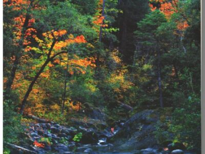 Image of map's cover page