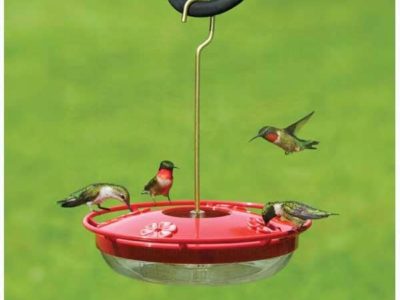 Aspects 429 HummZinger Highview Hummingbird Feeder