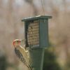 Suet Feeder with Tail Prop