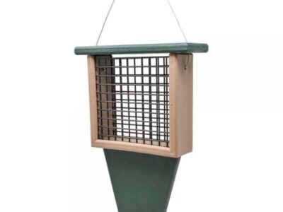 tail prop suet feeder in driftwood