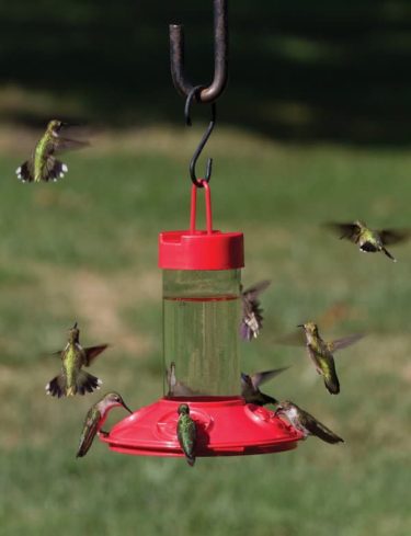 Songbird Essentials Dr JBs Clean Feeder SE6002
