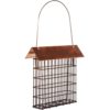 copper top suet feeder at Northwest Nature Shop in Ashland Oregon