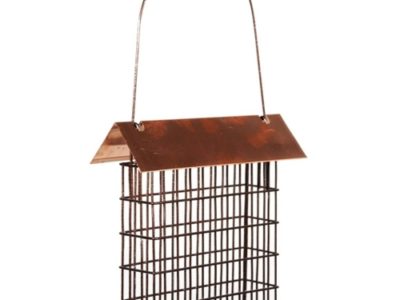 copper top suet feeder at Northwest Nature Shop in Ashland Oregon