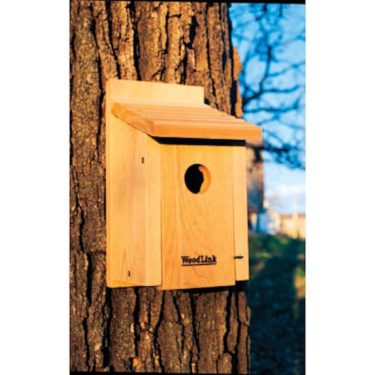 WoodLink Bluebird House BB1