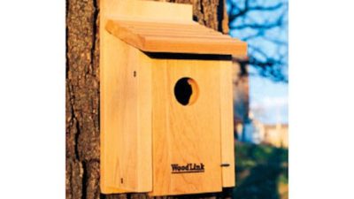 WoodLink Bluebird House BB1