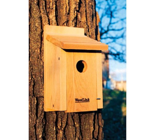 WoodLink Bluebird House BB1