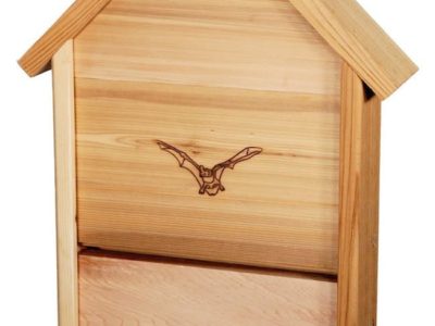 WoodLink Cedar Bat Chalet Model BAT4