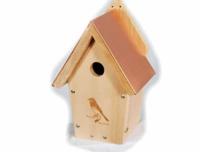 WoodLink Coppertop Bluebird House BB303