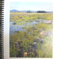 Flowers of the Table Rocks