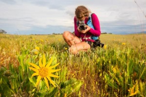 wildflower-travel-600x400