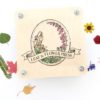 Leaf and Flower Press Made in USA at Northwest Nature Shop in Ashland Oregon