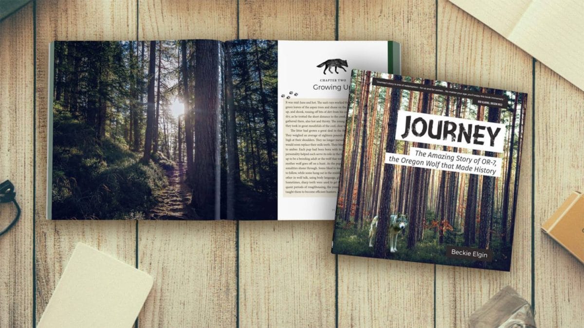 Journey Book Release and Signing