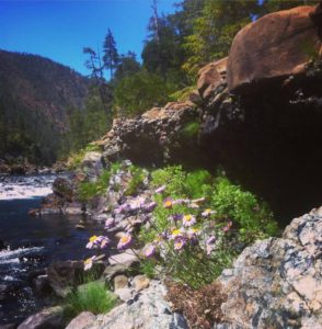Adventure at North Fork Smith River Swimming Holes