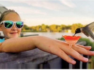 Hummingbird ring feeder at Northwest nature Shop