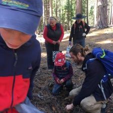 Guided Mushroom Hikes in Southern Oregon