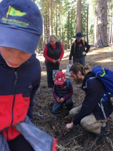 Guided Mushroom Hikes in Southern Oregon