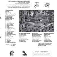 larry eifert old growth photos of the pacific Northwest