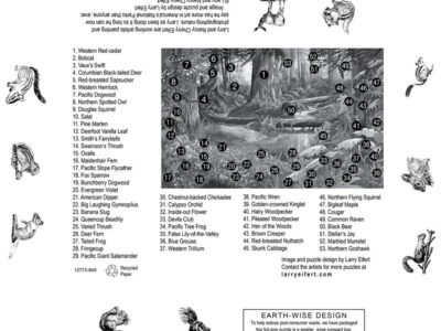 larry eifert old growth photos of the pacific Northwest