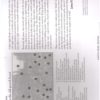 prairie creek redwood puzzle
