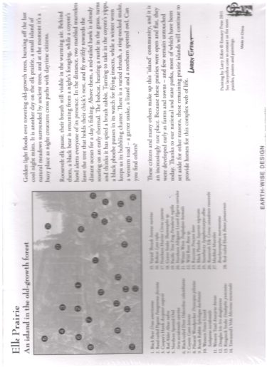 prairie creek redwood puzzle