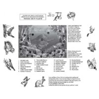 crater lake national park puzzle key
