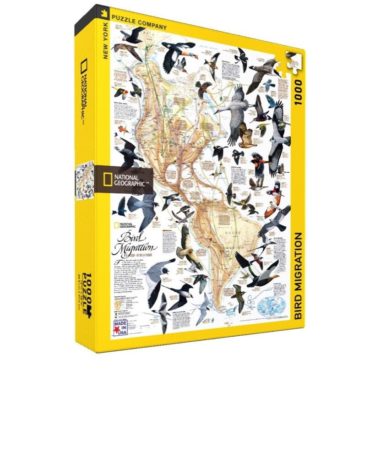 bird migration map puzzle