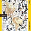 bird migration map puzzle