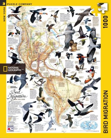 bird migration map puzzle