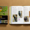 birds of pnw showing layout