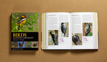 birds of pnw showing layout