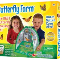 painted lady butterfly farm