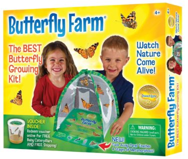 painted lady butterfly farm