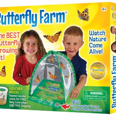 painted lady butterfly farm