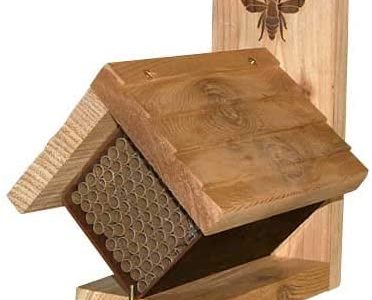 replaceable mason bee tube