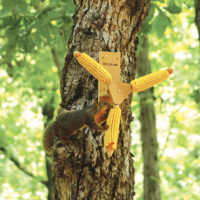 spining corncob feeder