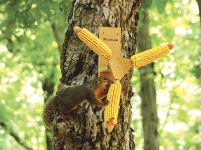 spining corncob feeder