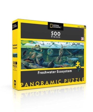 Freshwater Ecosystem puzzle