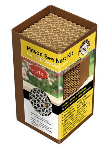 mason bee nest kit